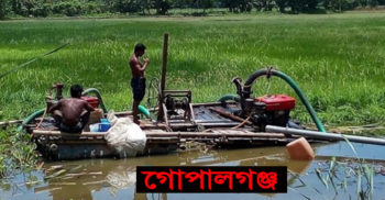 গোপালগঞ্জের কাশিয়ানীতে ভুমি দখল ও কৃষি জমিতে বালু উত্তোলনের অভিযোগ