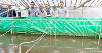 দিনাজপুর উদ্ভাবনী বায়োফ্লক ফিস ফারমিন প্রতিষ্ঠানের ৫জন সফল মাছ চাষী হিসেবে নিজেদের প্রতিষ্ঠিত করেছে
