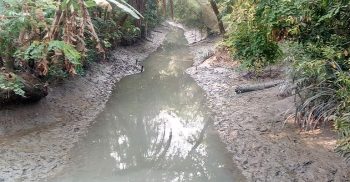 অর্ধশতাধিক খাল দশমিনায় মৃতপ্রায়
