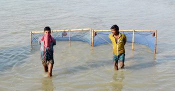 সাগর মোহনায় পোনা সংকটে চিংড়ি চাষ ব্যাহত হওয়ার আশঙ্কা
