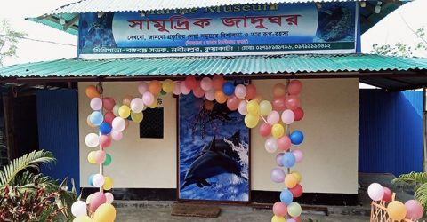 দর্শনার্থীদের জন্য উন্মুক্ত করা হয়েছে কুয়াকাটায় সামুদ্রিক জাদুঘর
