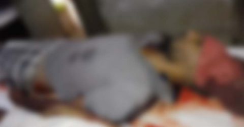 যশোরের মণিরামপুর বন্দুকযুদ্ধে ডাকাত নিহত