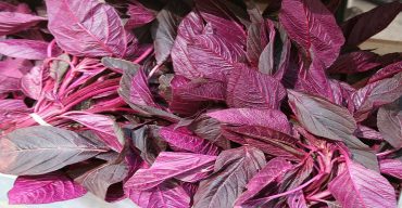 চুল ঝরে যাওয়া রোধে ম্যাজিকের মতো কাজ করে লালশাক