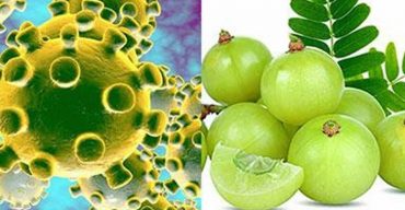 করোনাভাইরাস থেকে রক্ষা পেতে আমলকি খান