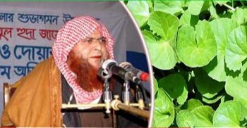 থানকুনি পাতা নিয়ে কোন স্বপ্ন দেখেননি সব গুজব: জৈনপুরী হুজুর