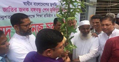 গলাচিপায় বঙ্গবন্ধুর জন্মশত বার্ষিকী উপলক্ষে গাছের চারা বিতরণ