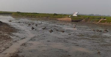 গোপলা নদীর উন্মুক্ত জলাধার বন্ধ করে মাছ নিধন: হাওর জুড়ে যোগাযোগীমূলে প্রভাবশালীদের দখলদারিত্ব