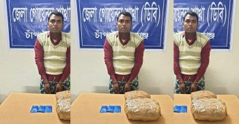ভোলাহাটে ডিবির অভিযানে ইয়াবা-গাঁজাসহ গ্রেপ্তার এক ব্যক্তি