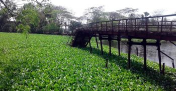 কলাপাড়ায় গামইরতলা আয়রন ব্রিজ বিধ্বস্ত আহত ৩