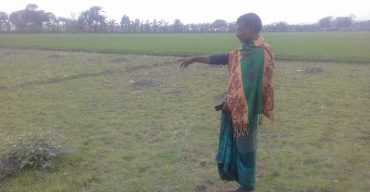 কালীগঞ্জে হামলার পর মাঠ-ঘাট বন্ধ, মৃত্যুর পর আরও ক্ষতির আশঙ্কা