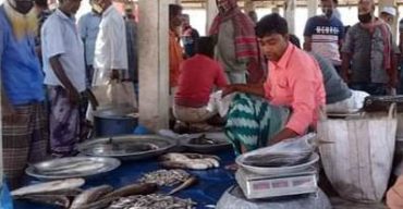 রাণীনগরে নিষেধাজ্ঞা অমান্য করে জমজমাট আবাদ পুকুর হাট