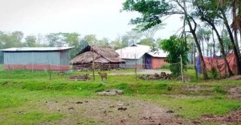 পটুয়াখালীর রাঙ্গাবালী উপজেলায় ৪ জনের করোনা ভাইরাস শনাক্ত