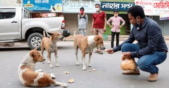 রাজশাহী সিটি কর্পোরেশনের মেয়র এর নির্দেশে ক্ষুধার্ত কুকুরের খাবার খাওয়ানো হচ্ছে