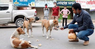 রাজশাহী সিটি কর্পোরেশনের মেয়র এর নির্দেশে ক্ষুধার্ত কুকুরের খাবার খাওয়ানো হচ্ছে