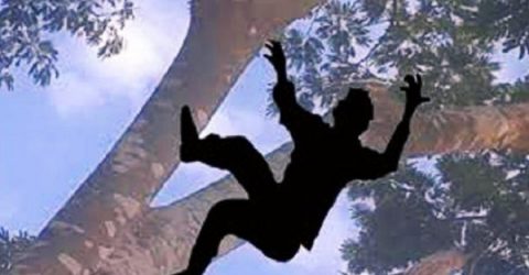 ঝালকাঠিতে গাছ থেকে পড়ে যুবকের মৃত্যু