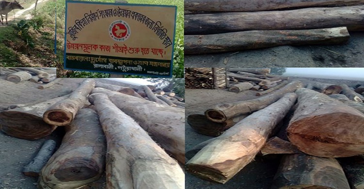 প্রধানমন্ত্রীর দৃষ্টি আকর্ষণ রাঙ্গাবালীতে লক্ষ টাকার গাছ নিয়ে চলছে তাল বাহানা প্রশাসন আছে নিরব ভুমিকায়