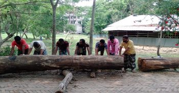 পটুয়াখালীর দশমিনায় রাস্তায় গাছ ফেলে লকডাউন