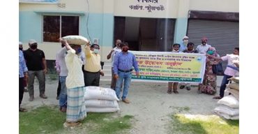 গলাচিপায় কৃষকদের মাঝে বিনামূল্যে সার ও বীজ বিতরণ করলেন: শাহিন শাহ