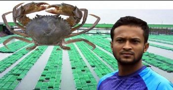 কাঁকড়া ফার্মে শ্রমিকদের বিক্ষো’ভ নিয়ে অবশেষে মুখ খুললেন সাকিব