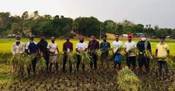বান্দরবানে লামায় কৃষকের ধান কেটে দিল ছাত্রলীগ