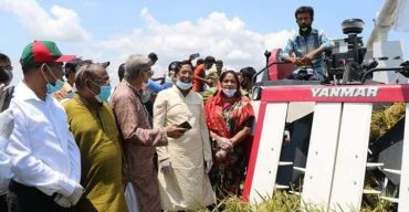 হাওরাঞ্চলের ৬৫ ভাগ ধান কাটা শেষ: কৃষিমন্ত্রী