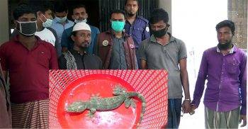 পটুয়াখালীর কলাপাড়ায় তক্ষকসহ আটক চার