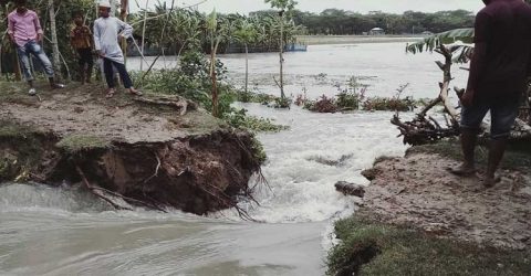 আম্পান: সুন্দরবনে উপকূলে বেড়িবাঁধ, ঘরবাড়ি-মৎস্য ঘেরের ব্যাপক ক্ষতি