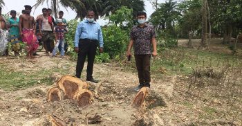 গলাচিপায় সরকারী গাছ চুরি করায় ঘটনাস্থল পরিদর্শন