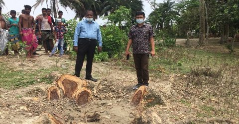 গলাচিপায় সরকারী গাছ চুরি করায় ঘটনাস্থল পরিদর্শন
