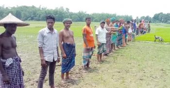 কৃষক বাঁচাও দেশ বাঁচাও’ স্লোগানে শৈলকুপায় পানির দাবিতে মাঠেই কৃষকের মানববন্ধন!