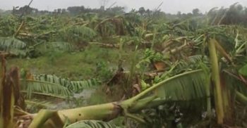 আম্ফানের তান্ডবে লন্ডভন্ড শত কোটি টাকার ক্ষতি, গোটা জেলা জুড়ে বিপাকে জন সাধারণ!