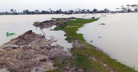 কলাপাড়ায় ঘূর্নিঝড় আম্ফান’র তান্ডবে ঘরবাড়ী বিধ্বস্ত: ১৭ গ্রাম এখন পানিবন্দী