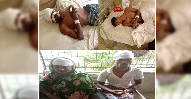 গলাচিপায় দুই পক্ষের সংঘর্ষে মহিলা সহ ৮জন আহত, গ্রেপ্তার ১