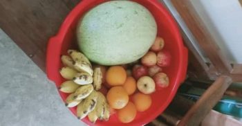 সাপাহারে করোনা আক্রান্তদের নিকট ইউএনও কল্যাণ চৌধুরী’র ফল সামগ্রী উপহার
