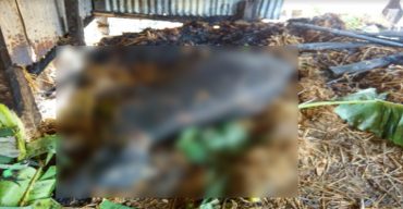 গভীর রাতে দুর্বৃত্তদের অগ্নিকাণ্ডে আতঙ্কিত এলাকাবাসী