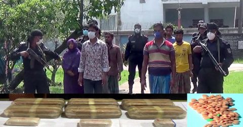 কলাপাড়ায় মাদক কারবারীসহ বিশাল একটি চালান জব্দ করেছে র‌্যাব