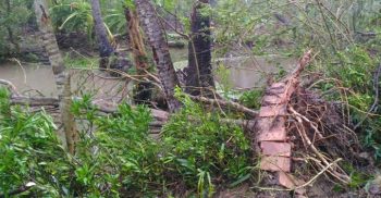 আম্পানের প্রভাবে ঝড়ের তাণ্ডবে বিভিন্ন জেলায় ৬ জনের মৃত্যু