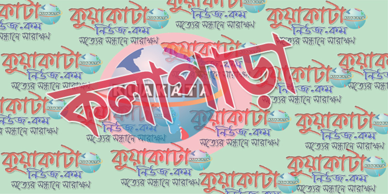 কলাপাড়ায় প্রতিবেশির হামলায় মা-ছেলে ও মেয়ে আহত