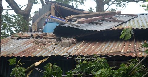 রাঙ্গাবালীতে ঘূর্ণিঝড় আম্পানের তান্ডব বিধ্বস্ত ঘরবাড়ি