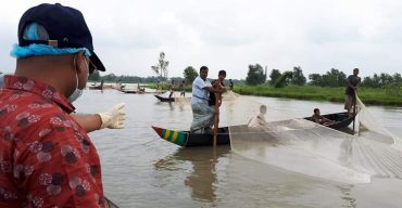 হালদায় ডিম ছেড়েছে মা মাছ, উৎসব মূখর পরিবেশে ডিম সংগ্রহ জেলেরা