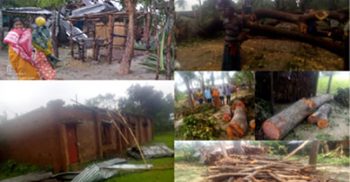 রক্ষক যখন ভক্ষক: মহেশপুরে সরকারি প্রাথমিক বিদ্যালয়ের লক্ষাধিক টাকার গাছ বিক্রি, থানায় মামলা