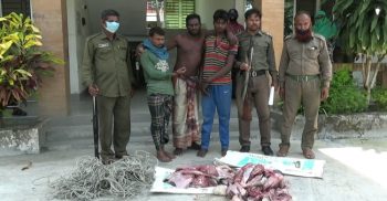 সুন্দরবনে চোরা হরিণ শিকারি চক্রের দৌরাত্ম চরমে (ভিডিও সহ)