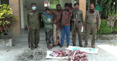 সুন্দরবনে চোরা হরিণ শিকারি চক্রের দৌরাত্ম চরমে (ভিডিও সহ)