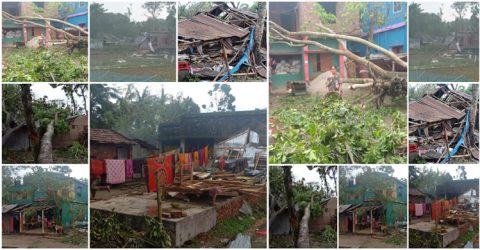 যশোরের শার্শায় আম্ফান ঝড়ে কোটি টাকার ক্ষতি: মৃত ৪ জন