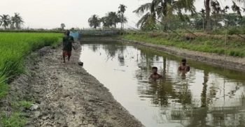 করোনার প্রভাবে দক্ষিণ-পশ্চিমাঞ্চলে রেণু পোনা সংকটে চাষিরা