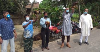 ঝিনাইদহের কাকিয়ার বিল থেকে কারেন্টজালসহ অতিথি পাখি উদ্ধার