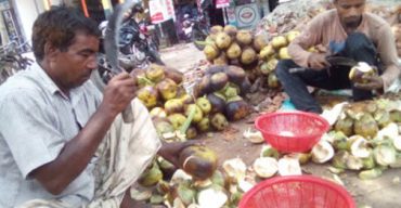 প্রতি বছরের ন্যায় এবারও ঝিনাইদহ বাজারে জমজমাট রসালো তালের শ্বাঁস