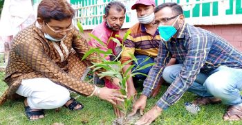 পটুয়াখালীর কলাপাড়ায় বৃক্ষ রোপণ করেছে মহিপুর থানা যুবলীগ