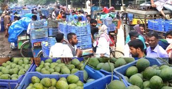 সাপাহার আমের মোকাম টি ল্যাংড়া ও হিম সাগরের দখলে