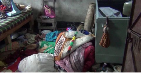 ঝিনাইদহে অসহায় কৃষকের বাড়িতে ডাকাতি, গরু, নগদ টাকাসহ স্বর্ণালংকার লুট